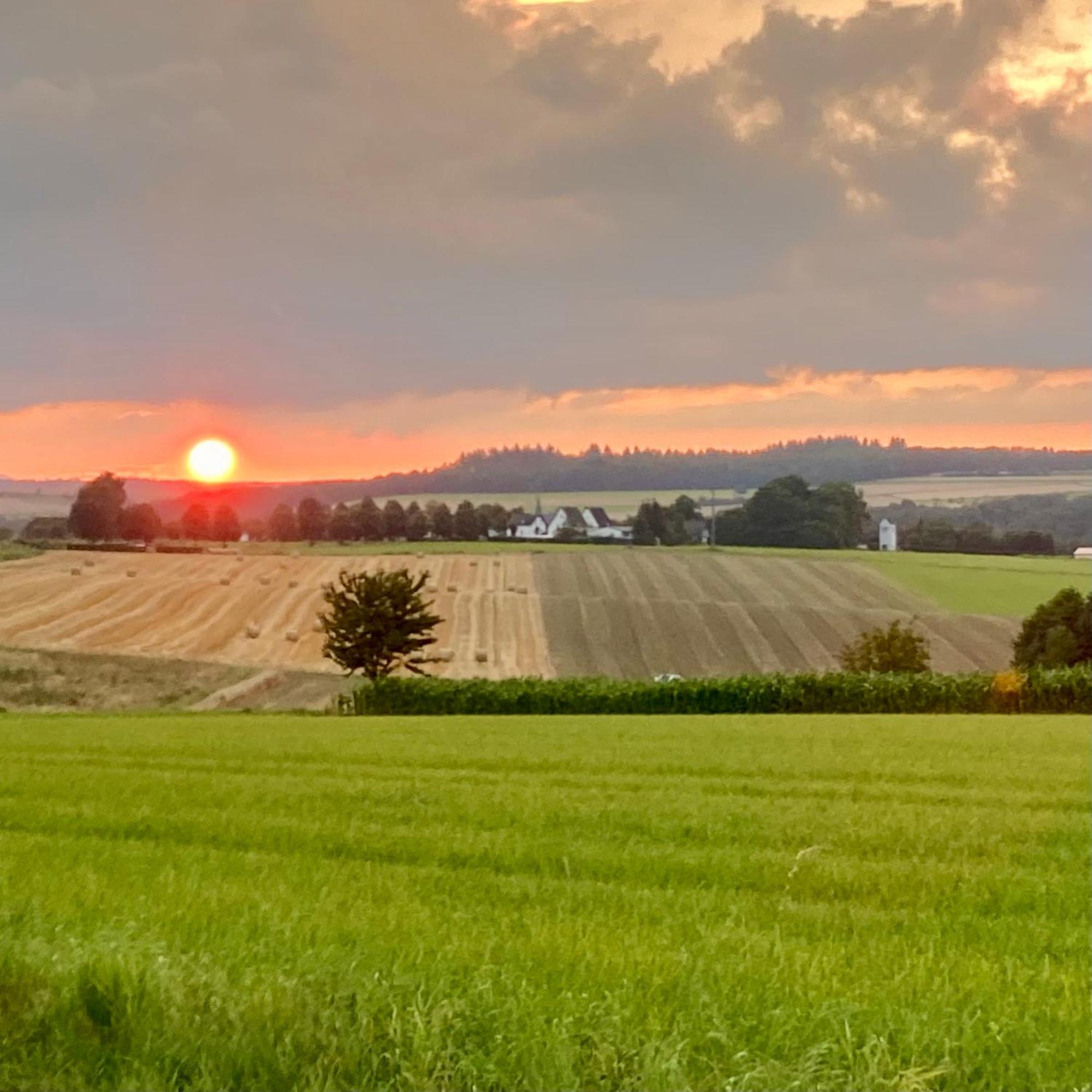Landhaus Laux Schmitt Buitenkant foto